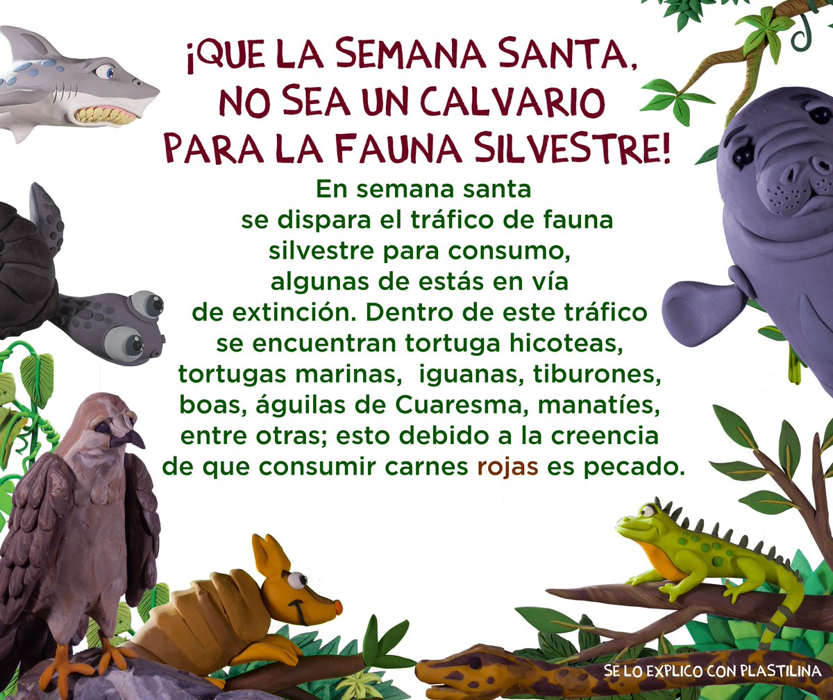 ¿Se lo explico con plastilina? tweet media