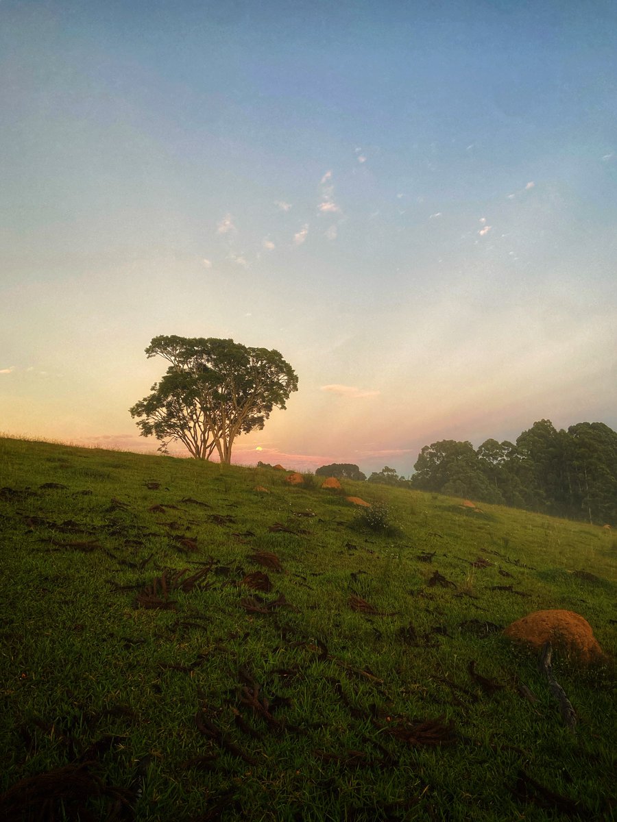 The moon and crepuscular rays this morning