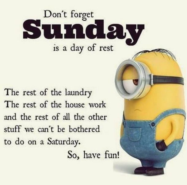 azofbookwriting's tweet photo. Don't forget Sunday is a day of rest... https://t.co/lphC64It1y #sundayfunday #sundayrelaxing #minionsfan #weekendrest # https://t.co/jXqBdUSA52