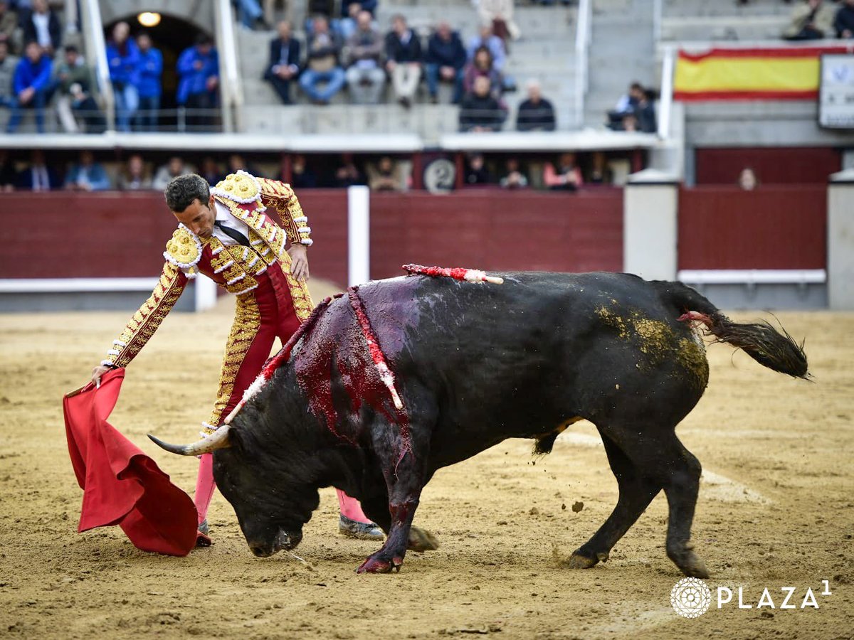 5️⃣ | Silencio tras dos avisos para 𝗗𝗔𝗩𝗜𝗗 𝗗𝗘 𝗠𝗜𝗥𝗔𝗡𝗗𝗔 con el quinto de la tarde. Palmas para el toro de 𝑽𝒂𝒍𝒅𝒆𝒍𝒍𝒂́𝒏.
#LasVentas