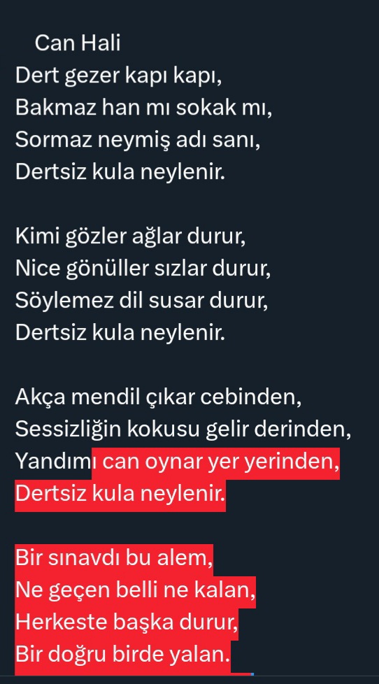 Bir şiir olsam (1. Eser)