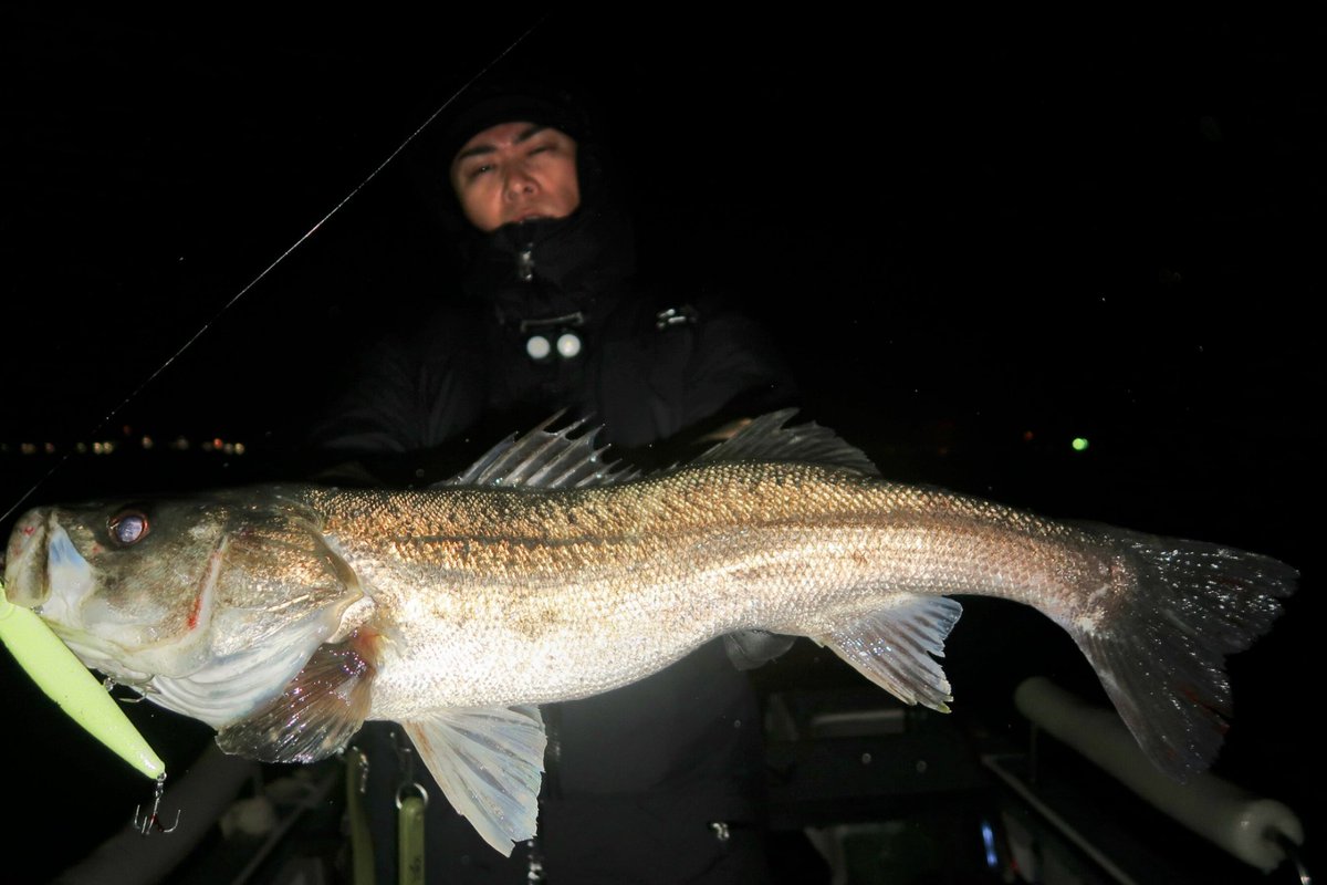 gloryfishing's tweet photo. 今日もまた東の爆風。。

逃げる為に進んで到着した際はパラダイス🙇

ハイスタ120モーニンググローリーで81cmのランカーやモンスターウェイク156Fでバクバクモードに。

ロッドはモアザンブランジーノEX88MBにIMZ

完璧です🙇

#東京シーバス 
#Glory 
#ベイトシーバス 
#世良勇樹
#DAIWA 
#PR https://t.co/XRV2SYb6xv