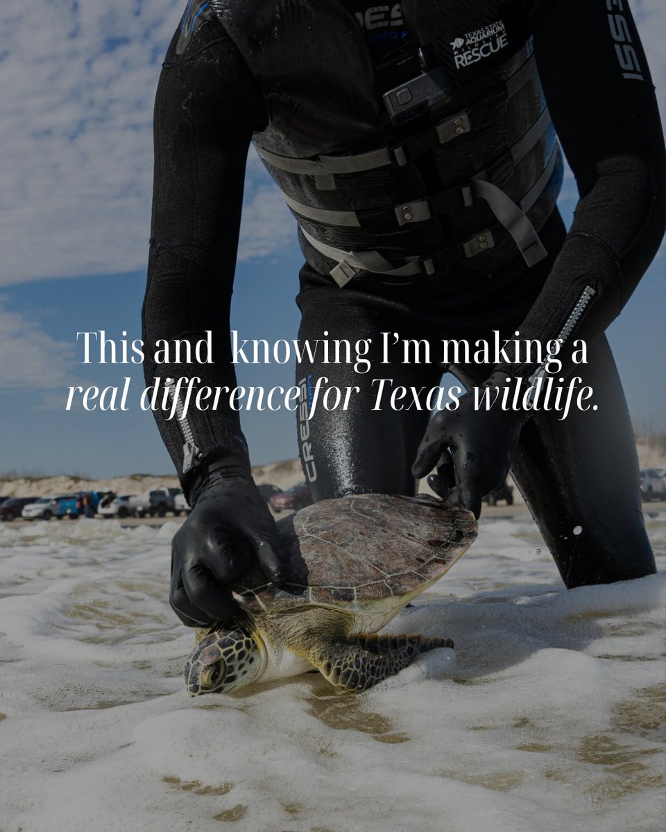 Every rescue and release is made possible by you. 

This April, help us raise funds for the Port Corpus Christi Center for Wildlife Rescue. Thanks to @titosvodka, your donation will be matched up to $5,000, doubling your impact! 

🔗 Donate: bit.ly/4jcimd6