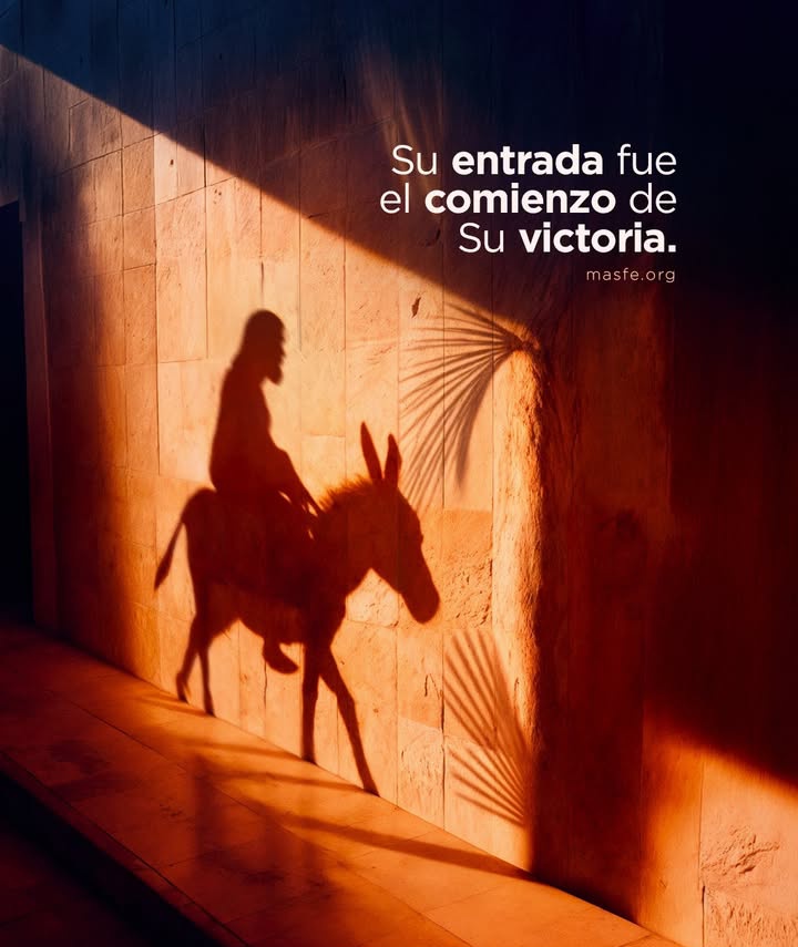 elsiervo__'s tweet photo. https://t.co/wwP3xaCjB4