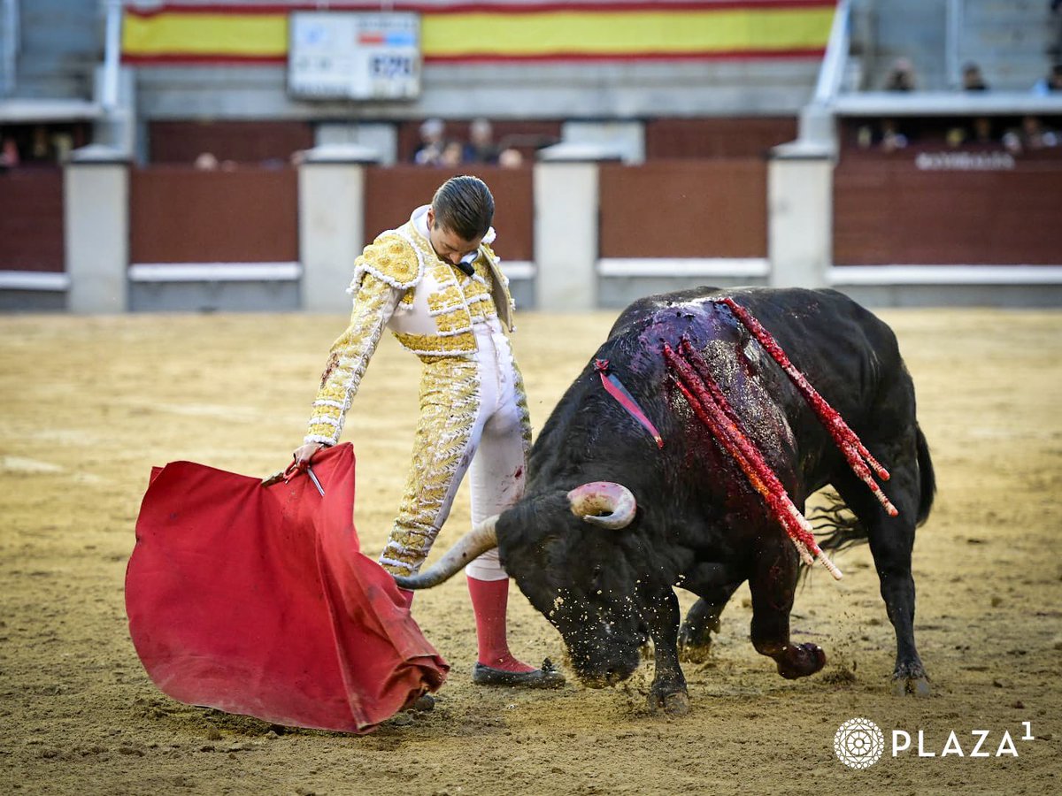 6️⃣ | Silencio para 𝗔𝗟𝗘𝗝𝗔𝗡𝗗𝗥𝗢 𝗠𝗢𝗥𝗔 en el cierre de la tarde. Silencio para el último toro de 𝑽𝒂𝒍𝒅𝒆𝒍𝒍𝒂́𝒏.
#LasVentas