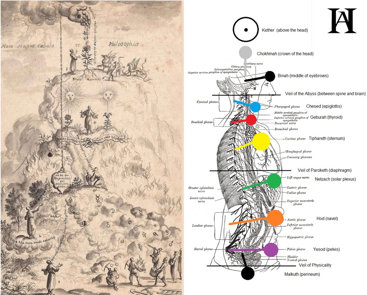 タントラの教義では、性エネルギーこそが宇宙で最も強力な創造力であると説かれています。それは神々や銀河を生み出す力です。
しかし、それが逆転し、高次の目的もなく盗まれ、散布されると、それは束縛と大量破壊の精神兵器となる。