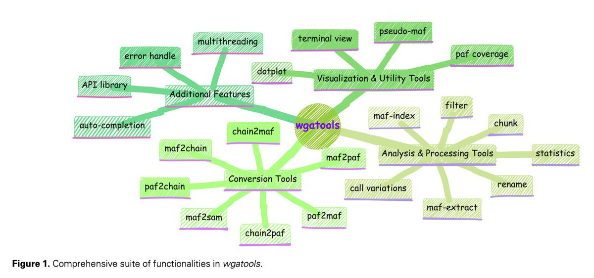 wgatools: an ultrafast toolkit for manipulating whole-genome alignments academic.oup.com/bioinformatics… 🧬🖥️🧪 written in Rust github.com/wjwei-handsome…