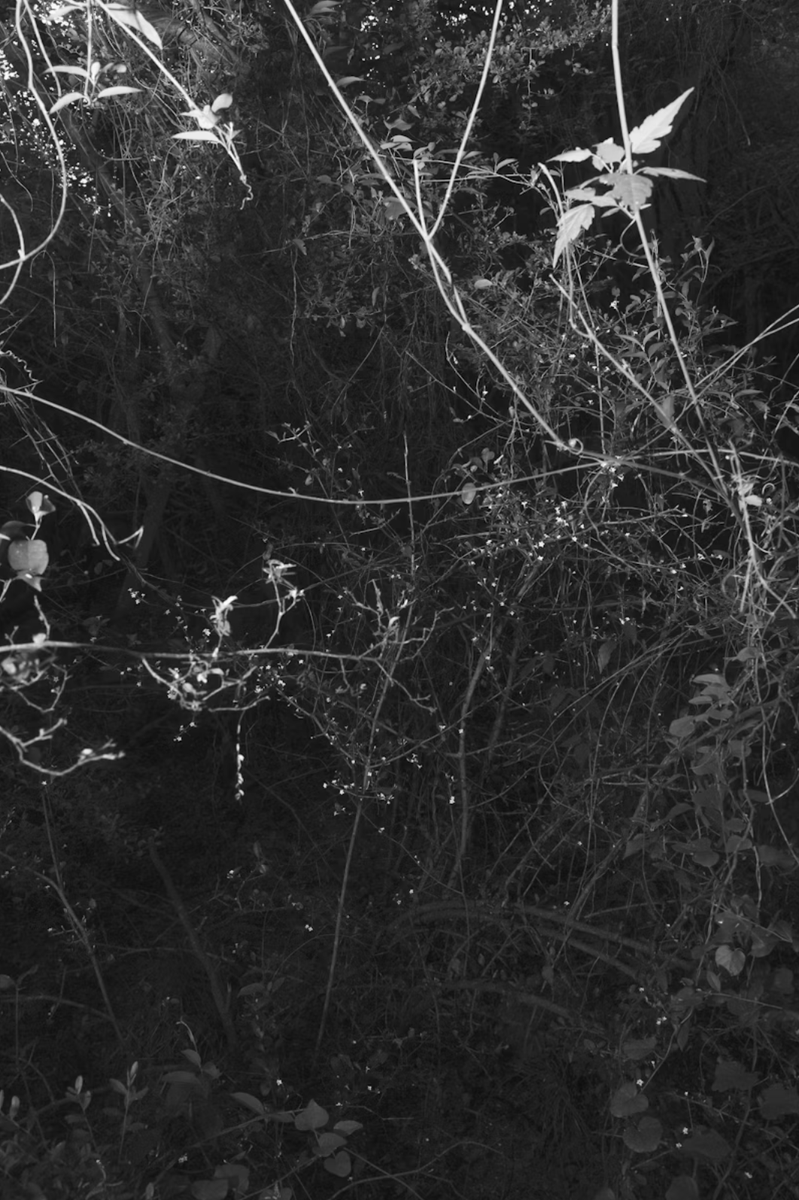 Fernando Gallegos (@gallegosfer) on Twitter photo most of my interactions with this platform these days is through <a href="/fellowshiptrust/">Fellowship</a> as a writer/researcher, but I'm still around and you can further support my work by looking/sharing/acquiring some of my work 🖤
foundation.app/mint/eth/0x459… most of my interactions with this platform these days is through <a href="/fellowshiptrust/">Fellowship</a> as a writer/researcher, but I'm still around and you can further support my work by looking/sharing/acquiring some of my work 🖤
foundation.app/mint/eth/0x459…