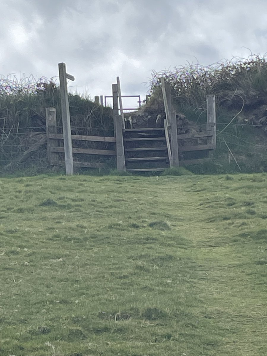 Got to be a serious stile to get over those North Devon walls, just off the South West coast path <a href="/LakesStiles/">Stiles</a>