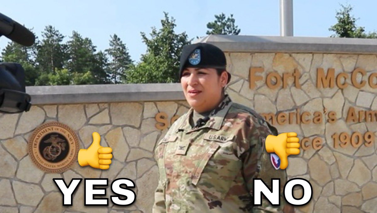 Do you agree Colonel Sheyla Baez Ramirez should be DISHONORABLY DISCHARGED for refusing to display Pete Hegseth and Donald Trump's photograph at Fort McCoy?

A. YES
B. NO