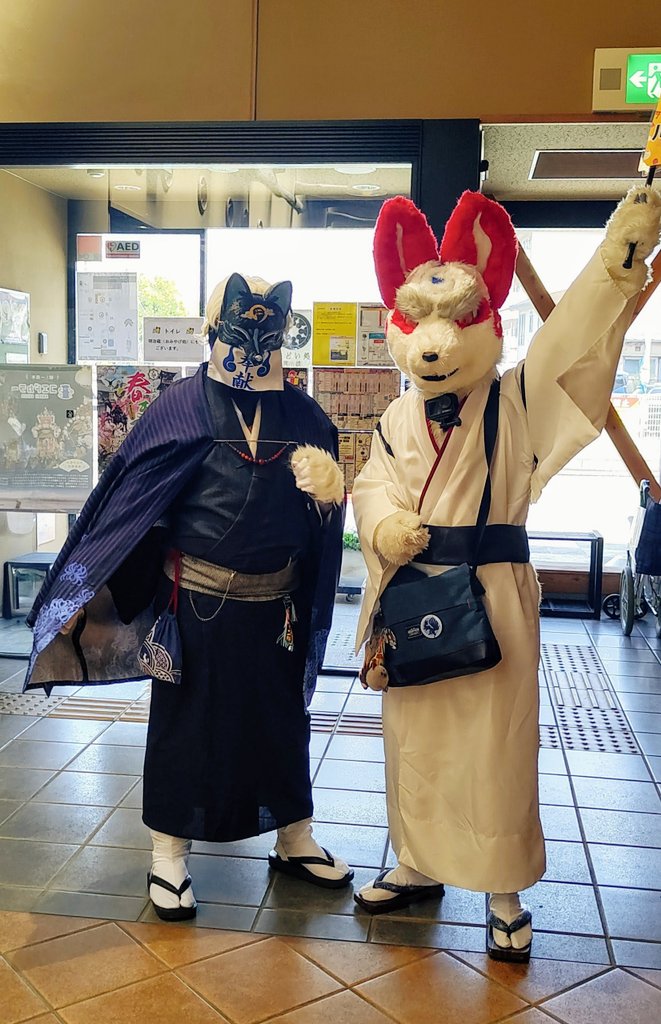 今回もいっぱい狐徹くんと遊んだり、もふもふさせていただいたりしました！
いつも仲良くしてくれてありがとう😆✨

撮影:呑照狐(<a href="/Tenteko_oooon/">呑照狐</a>)さん
#おきつね川越ぶらり旅