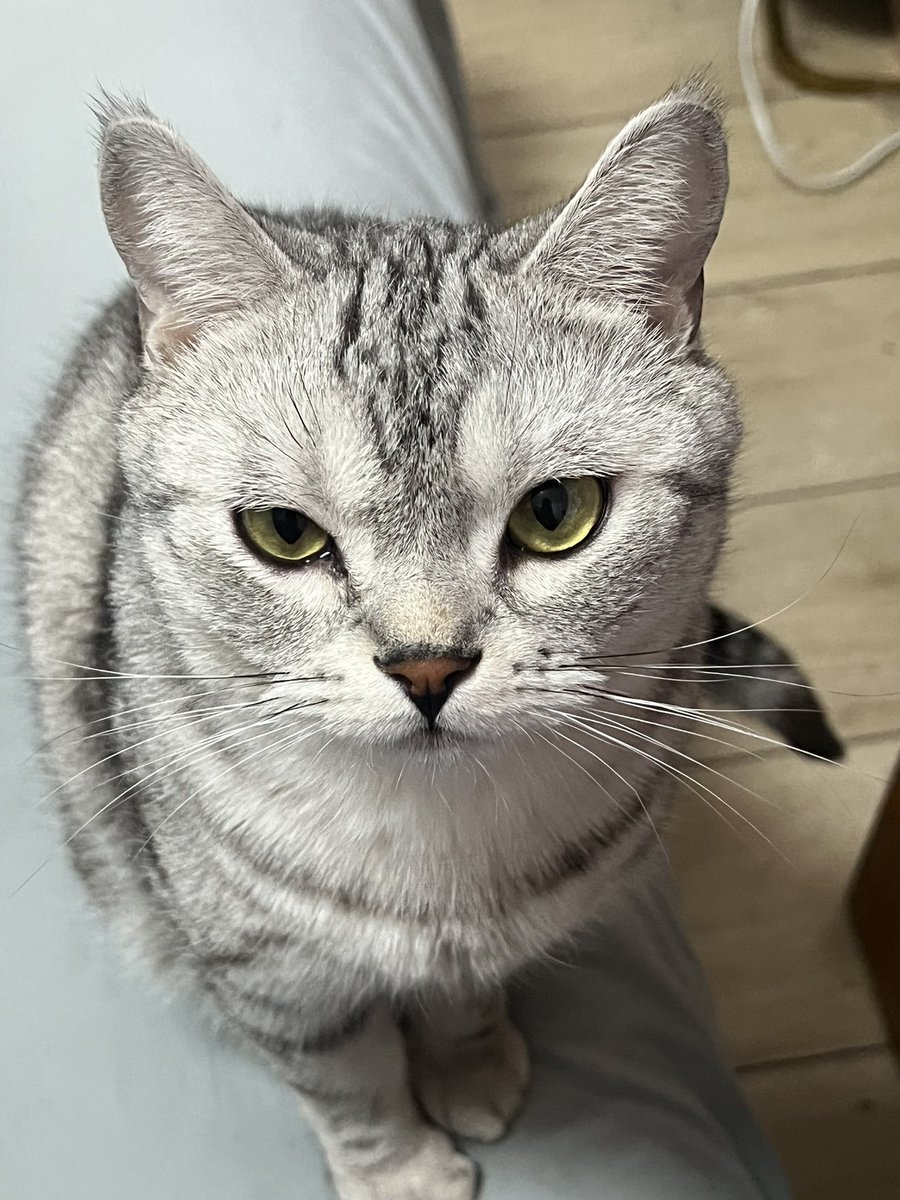 鱼鱼Fish (@footfishfish) on Twitter photo 