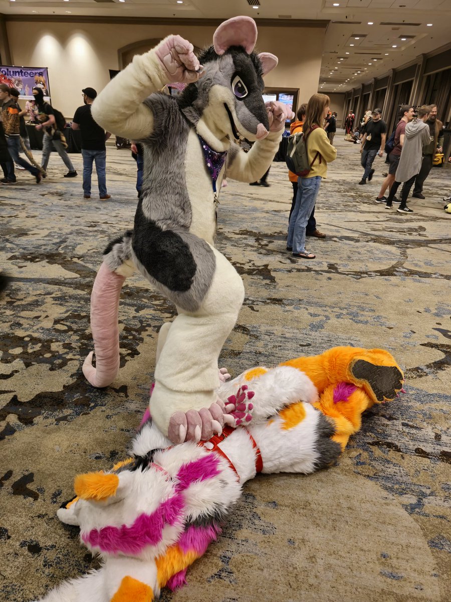 Found <a href="/FluffySmokeyRat/">SmokeyRat</a>, nature took its course