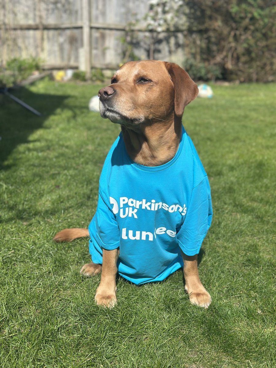 llbbylou's tweet photo. Charlie dressed up blue for #worldparkinsonsday2025 It cost me a bonio though 🤣
@ParkinsonsUK https://t.co/AYcyV0W4cP