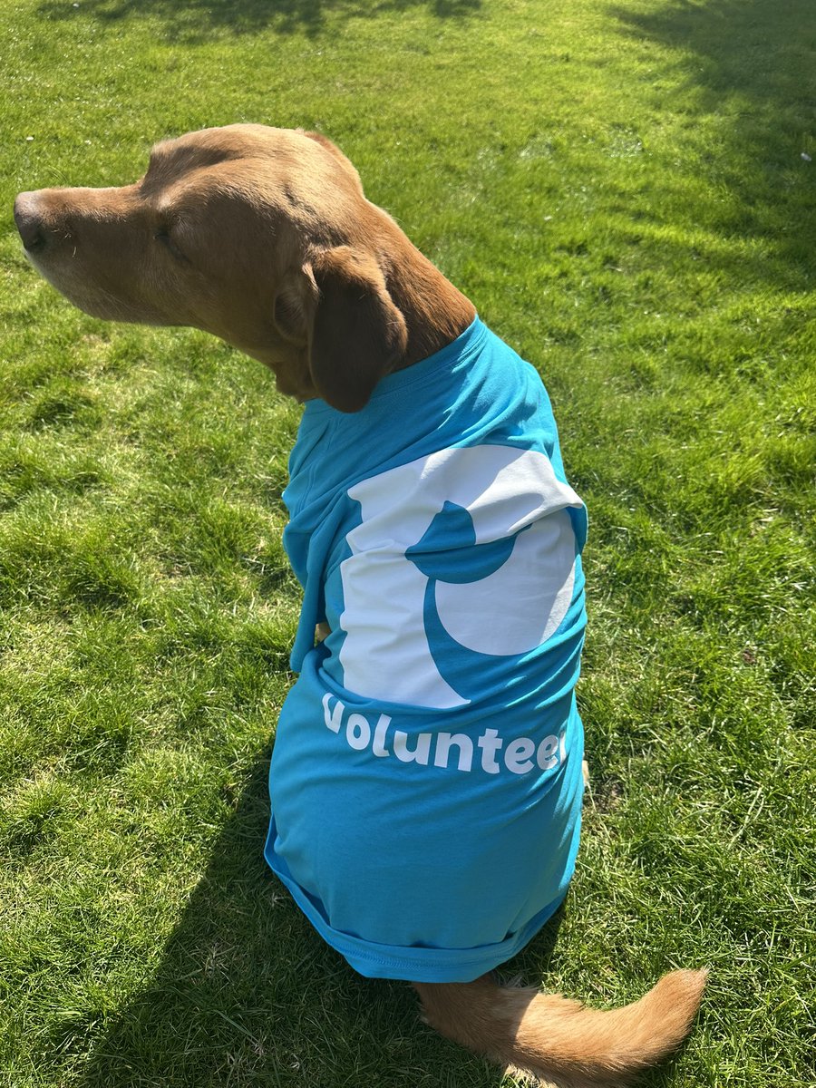 Charlie dressed up blue for #worldparkinsonsday2025 It cost me a bonio though 🤣
<a href="/ParkinsonsUK/">Parkinson's UK</a>