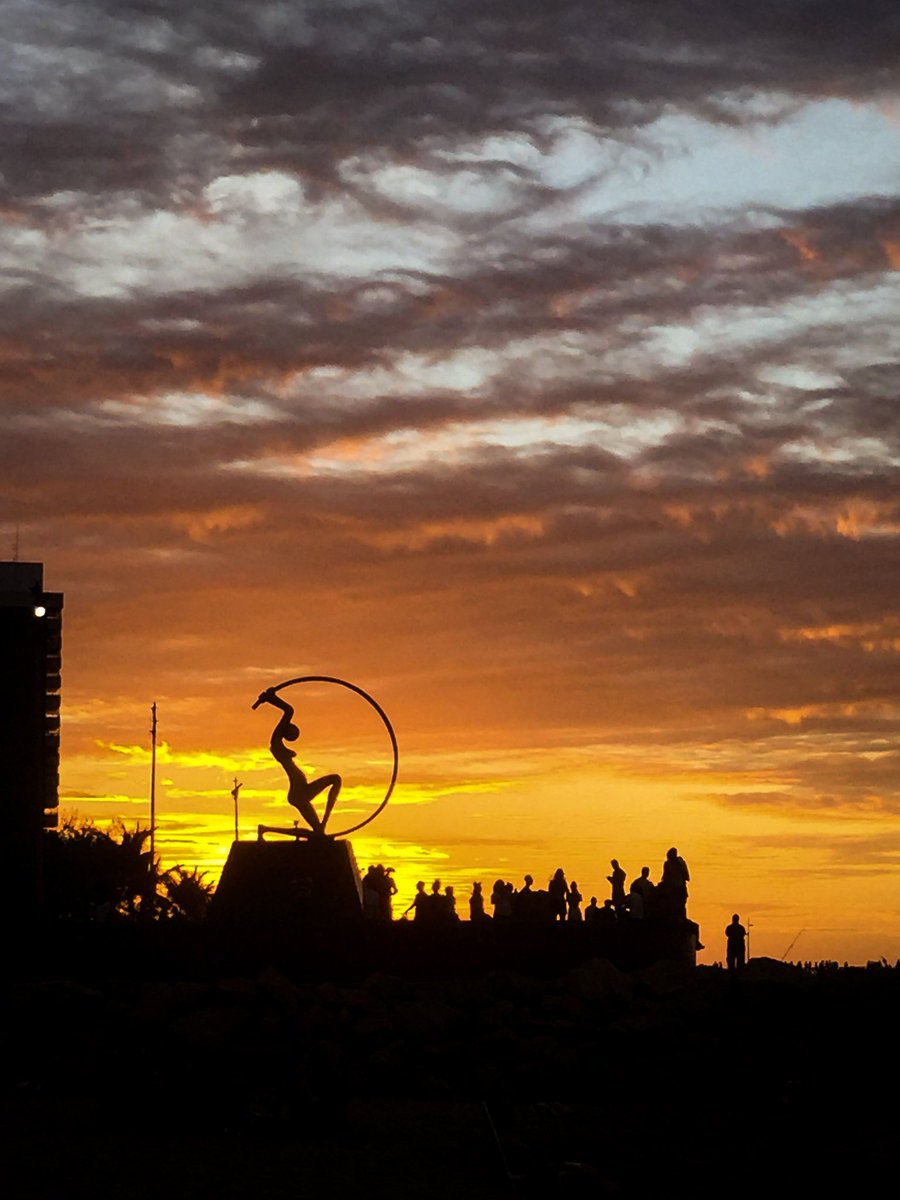 Freddy Costa tweet media