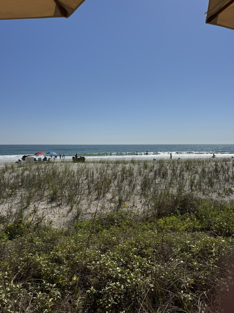 travisfulton's tweet image. Masters Sunday 
#pvb