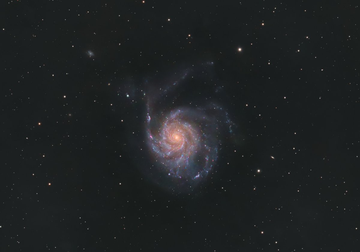 DerekFoster's tweet image. M101 Pinwheel Galaxy. 7 hours of LRGB data using 115mm Triplet and @QHYCCD 268m.
