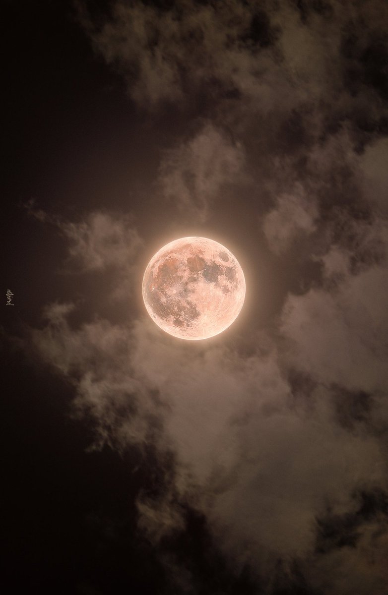 Rakan ✦ tweet media