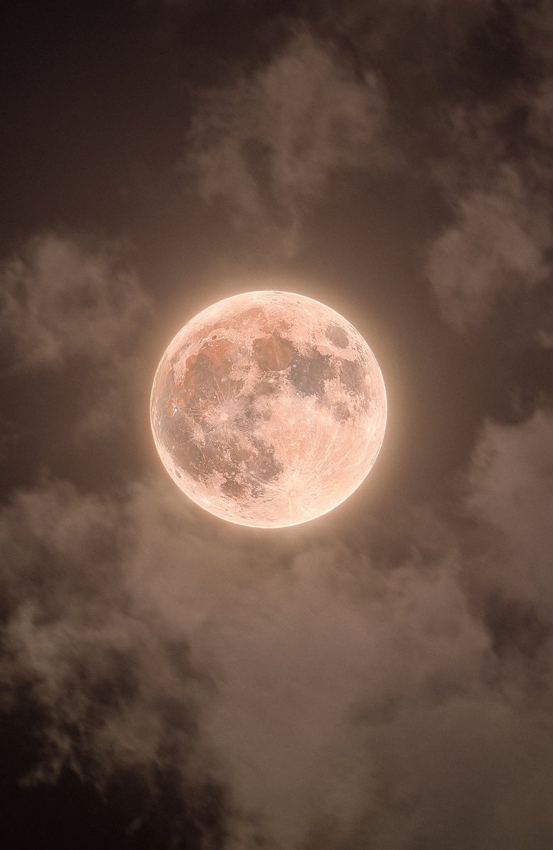 Rakan ✦ tweet media