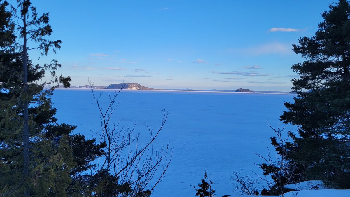 Peter Whitby Jr. tweet media