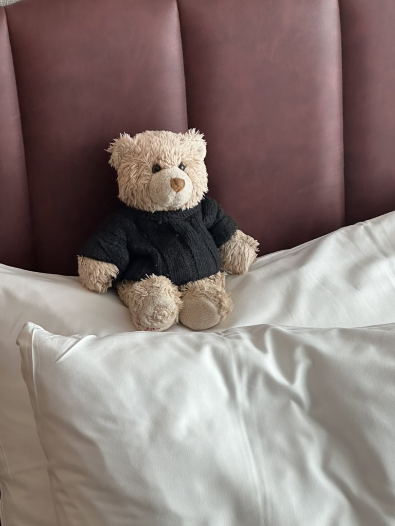 RubioOnTour's tweet photo. After Milan and Bern, I’ve arrived at posh hotel Radisson Blu in Stuttgart. Good job the lift works as my paws wouldn’t have liked stairs to 21st floor.

Another Ist Ist gig tonight then off home to see Mummy and Pendle tomorrow. https://t.co/8bLLzIzUFd