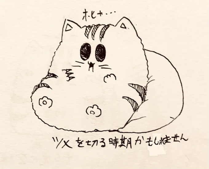 もち虎さんと半ライスのやりとりまとめ🍚🐯 
