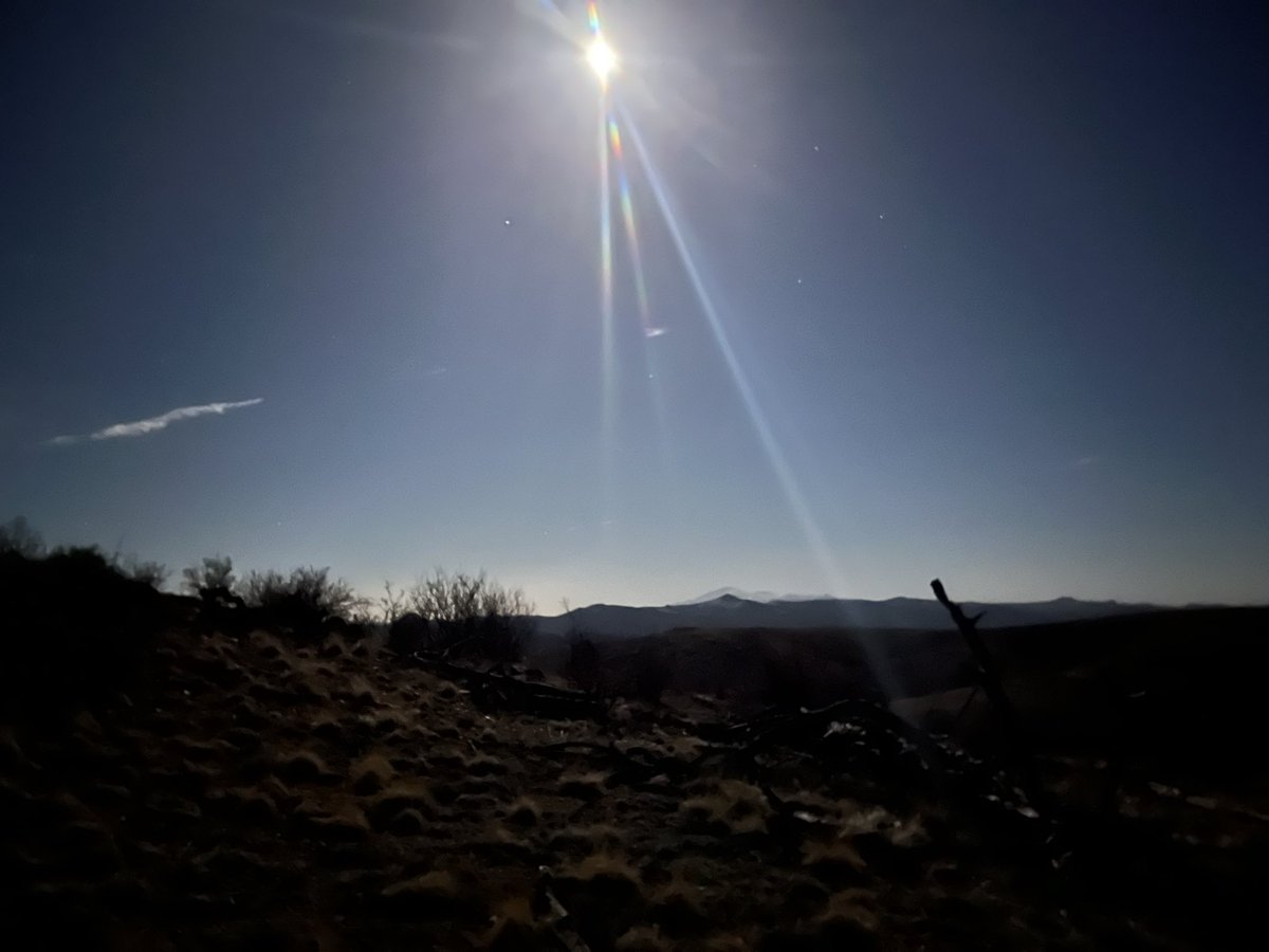 Was lost in the woods mb