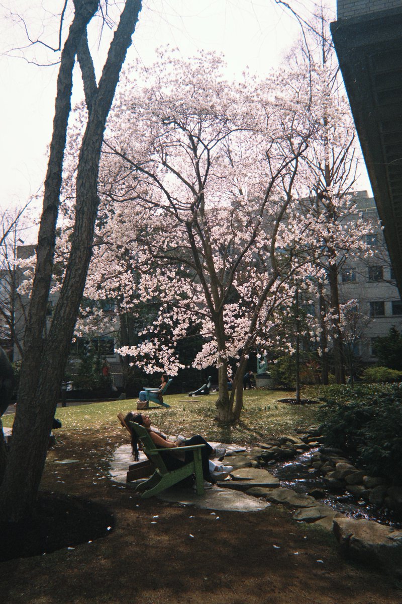 Hangin' under the magnolias ✨
