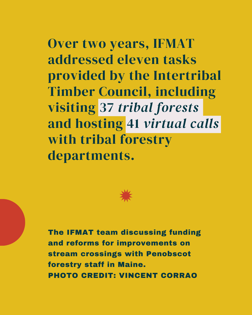 Intertribal_TC's tweet image. 🌲Exploring Tribal Forests: Penobscot Nation🌲 The Indian Forest Management Assessment Team toured 37 tribal forests, including meeting with forestry staff from Penobscot Nation in August 2022. Read the full IFMAT-IV report: online.flippingbook.com/view/719646412/ #IFMATIV #IndianCountry
