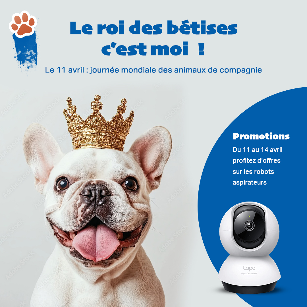 Promos Tapo en l'honneur des animaux de compagnie.
fr.store.tp-link.com/pages/promotio…
#tapo #promo #chien #chat #aspirateur #caméra #vidéosurveillance #maison #animaux #tplink