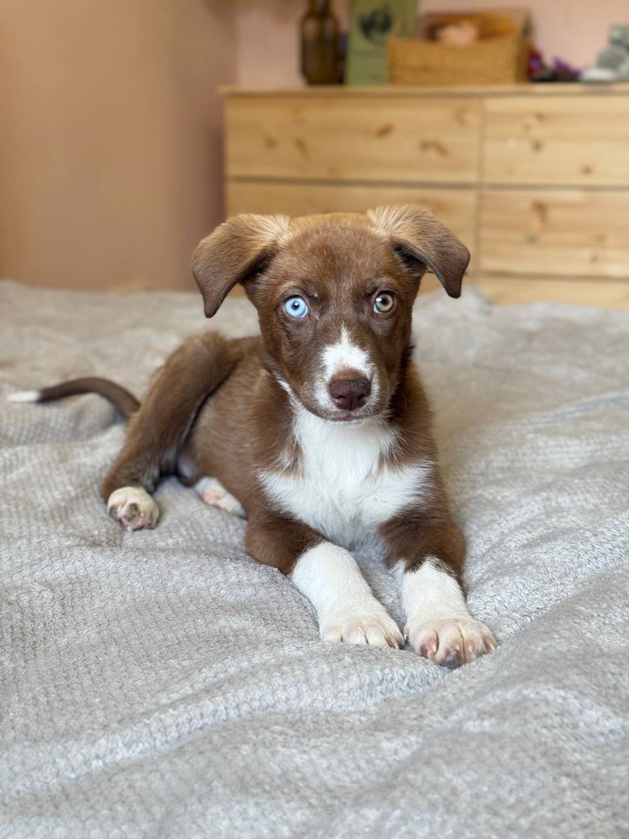 Эти легенды ищут дом!💗
В тг t.me/kotofeyski