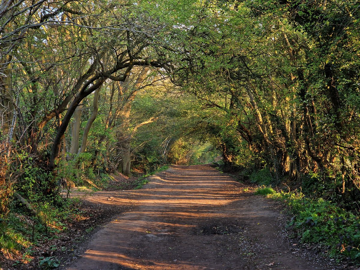 Rob Rambler tweet media