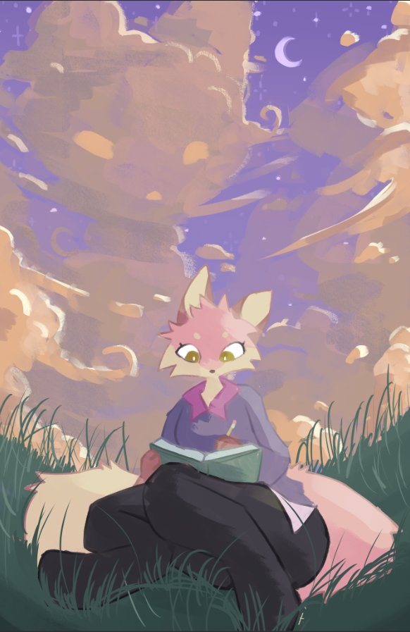 cat up in the clouds