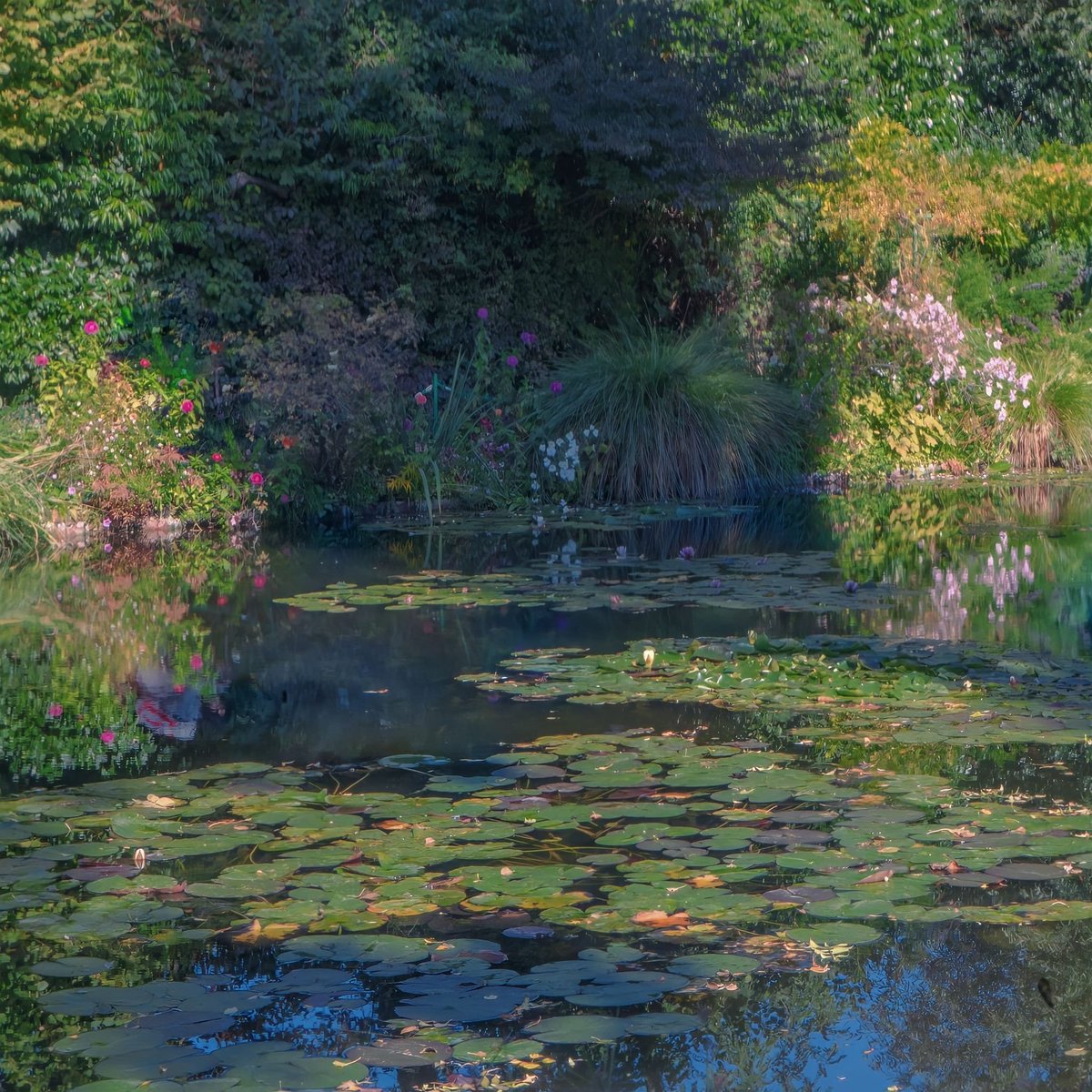 artindetails's tweet photo. Monet's garden in France looks like straight out from a painting. https://t.co/VZQxLjiqhg