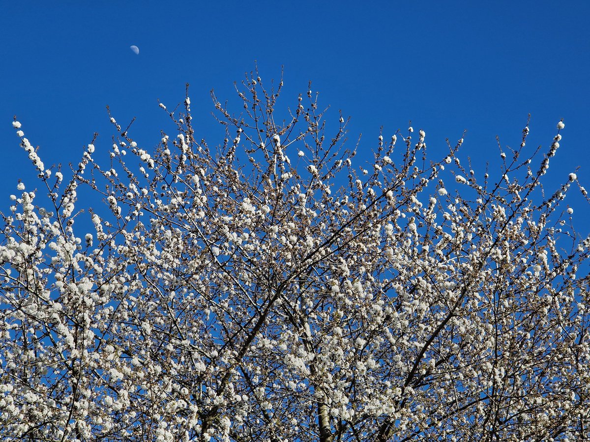 Rob Rambler tweet media