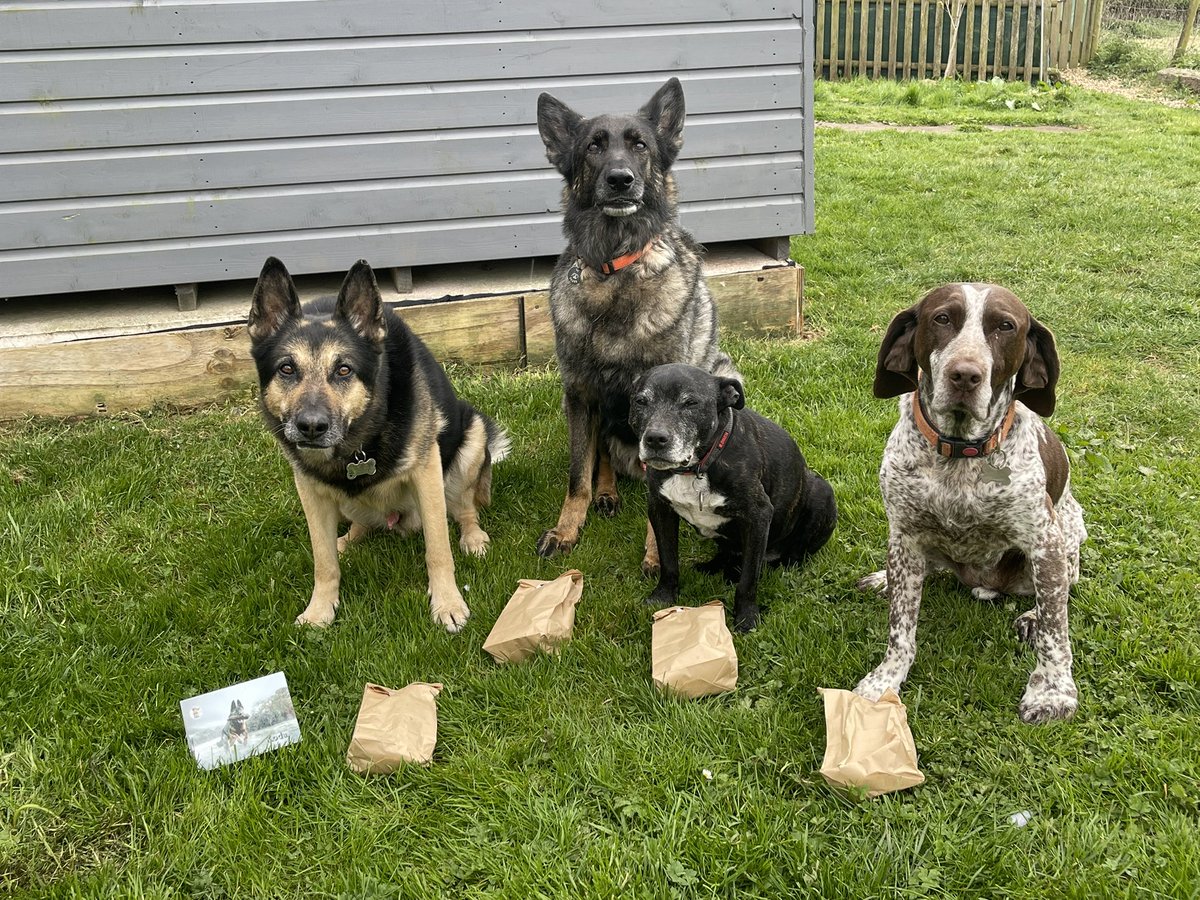 Dad entered an online <a href="/Heropawsuk/">HERO PAWS</a> charity auction &amp; won.  Thank you <a href="/Heropawsuk/">HERO PAWS</a> for our goodies ❤️