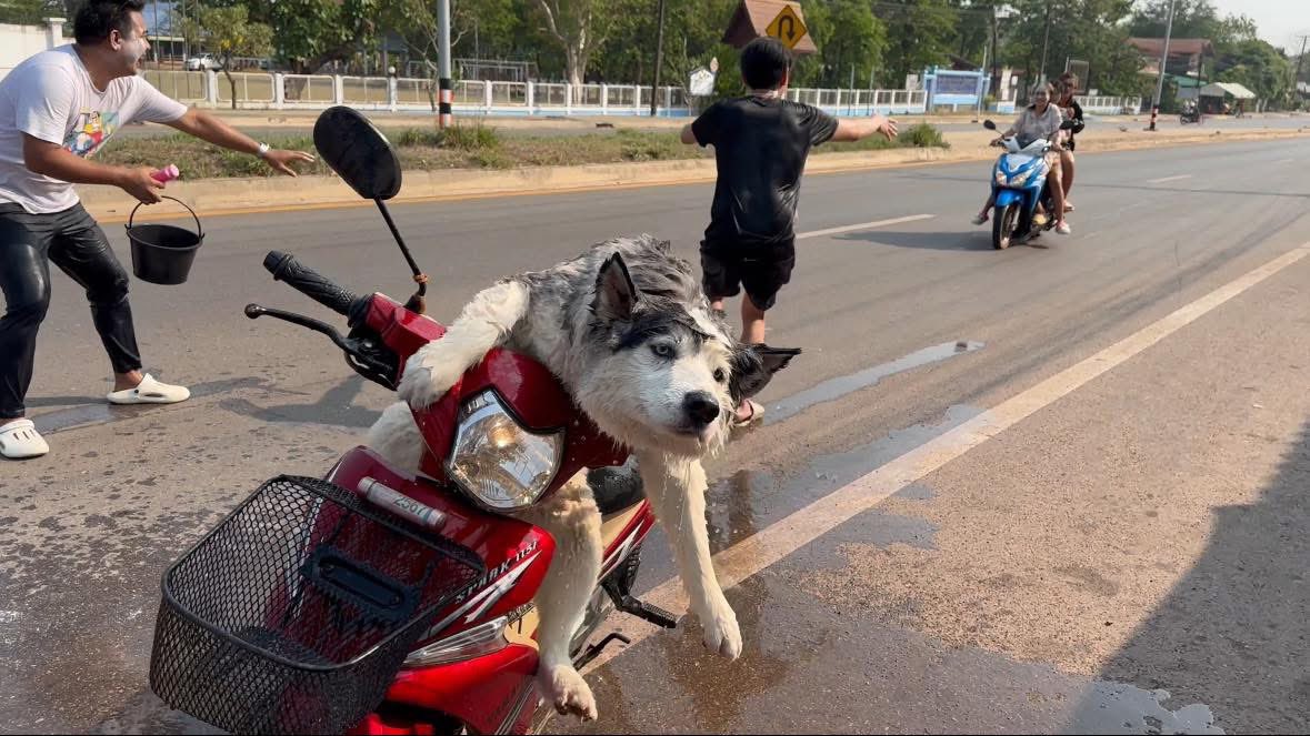 เอาฉันออกไปจากความสัมพันธ์นี้สักที