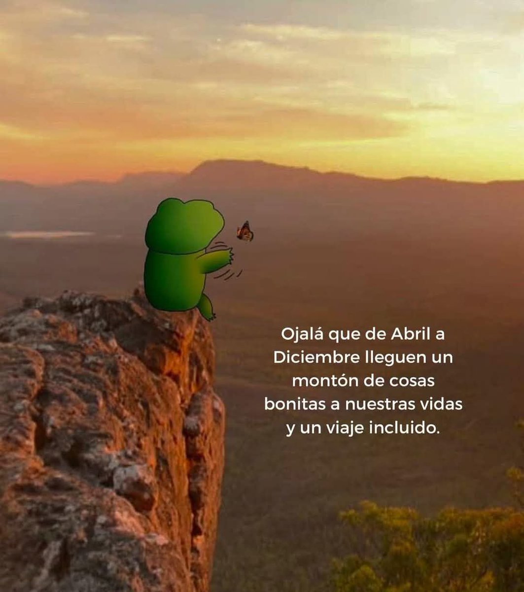 Bandidosfrasess's tweet image. 