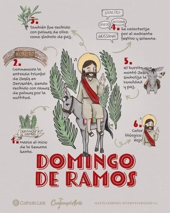 ID_Catolica's tweet photo. #DomingodeRamos ✨🙏🏻✝️🌿 https://t.co/VbnG4EnHGR