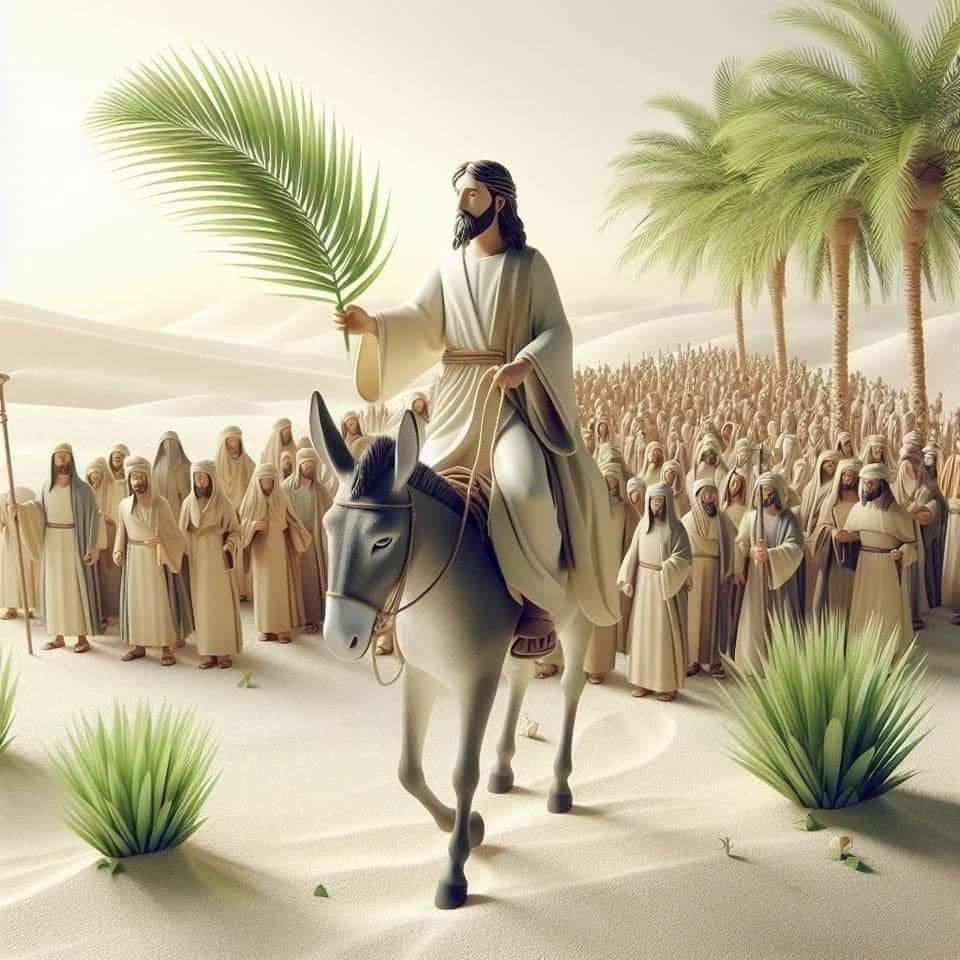 Feliz domingo de Ramos/Happy Palm Sunday/Shanine Mborke 🙏🏻🌿✝️