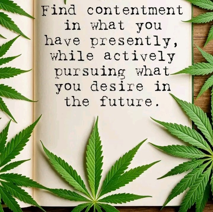 LYFE1790's tweet image. Find contentment in what you have presently, while actively PURSUING what you desire in the future.”

♥️💛💚 #Pursuing