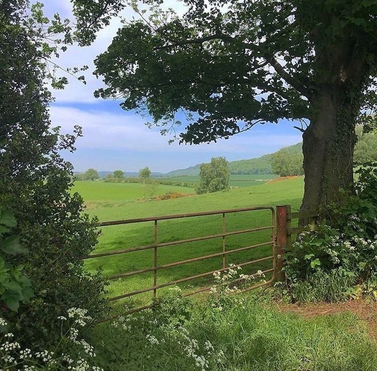 greendreamvibes's tweet photo. Spring 🍃 https://t.co/qbsvZnuTO1