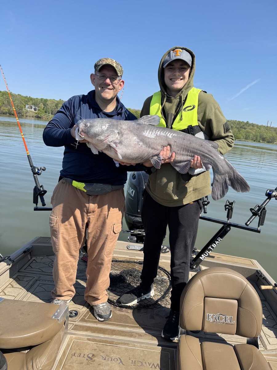 Capt_Billy_TN's tweet photo. Just now had my guest pull a nearly 40 pound Blue in!  Used a massive White Bass head in about 40 foot of water!  What an incredible ending to an incredible day! #bigfish #catfish #bluecat #catfishing #trophyfish https://t.co/vHhlE4EPWc