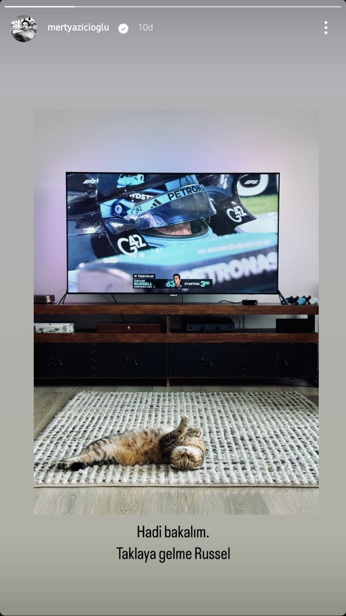 didiMcorona27's tweet photo. La F1 gordo.. hace que hasta el gatito mas aburrido se entretenga .... 
#F1 #BahrainGP  #TeamYuki https://t.co/OeQ08K6lTc