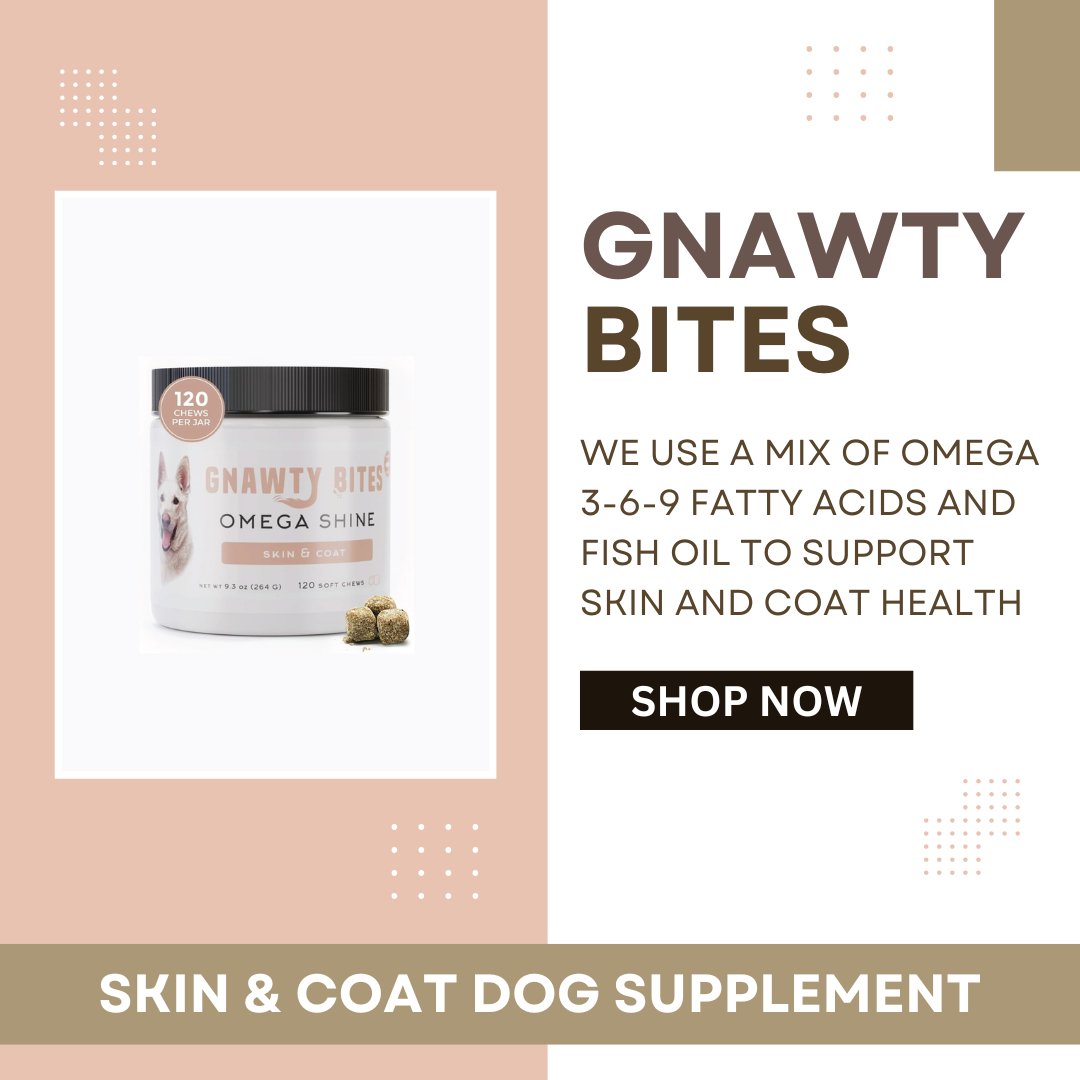 Shiny coat, healthy skin, and no more itching! 🐕✨ Omega Shine is the go-to for dogs with long hair &amp; sensitive skin! 🦴🐾

#gnawtybites #gnawtypets #omegashine #omega #omega369 #salmonoil #benefits #itchrelief #skinsupport #doghealth #dogcoat #shiny
