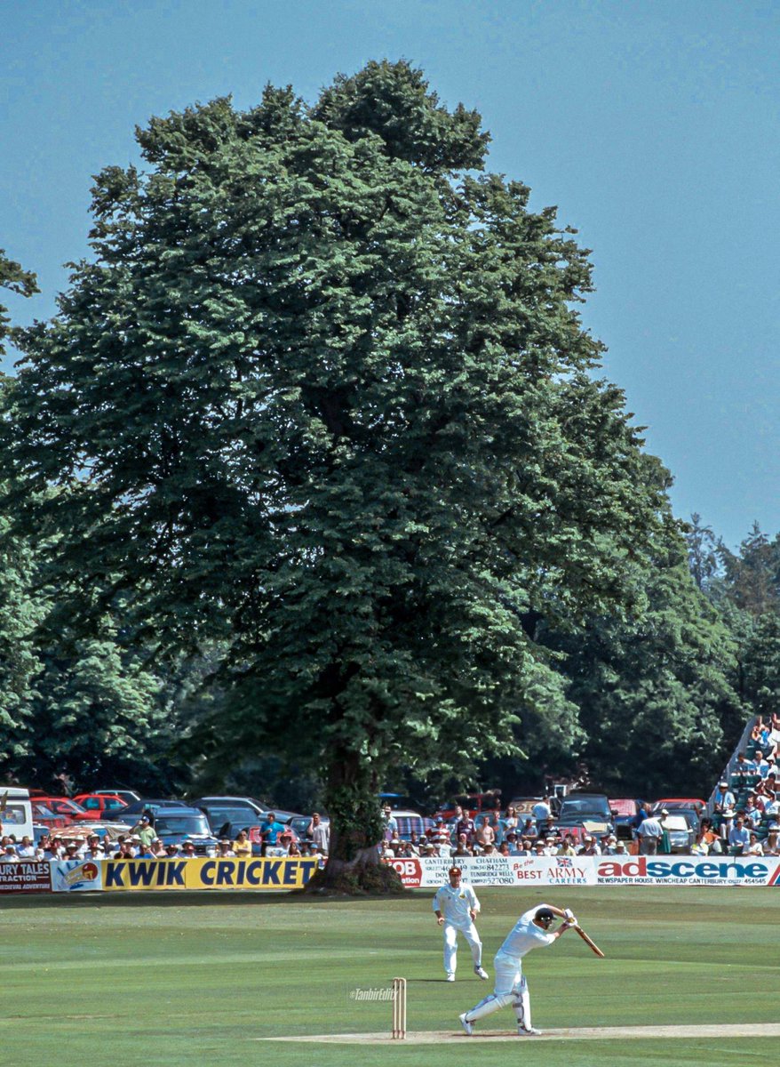 Cricket Picture that Goes Hard tweet media