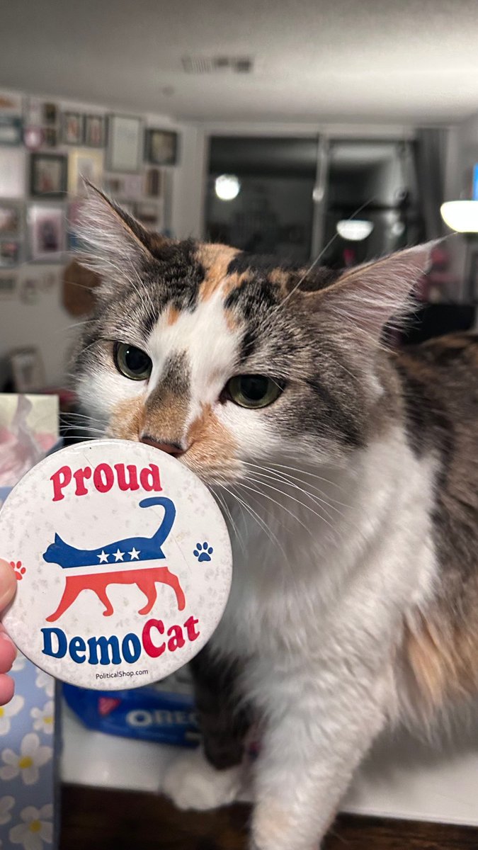 My baby is 5 today! 🎂