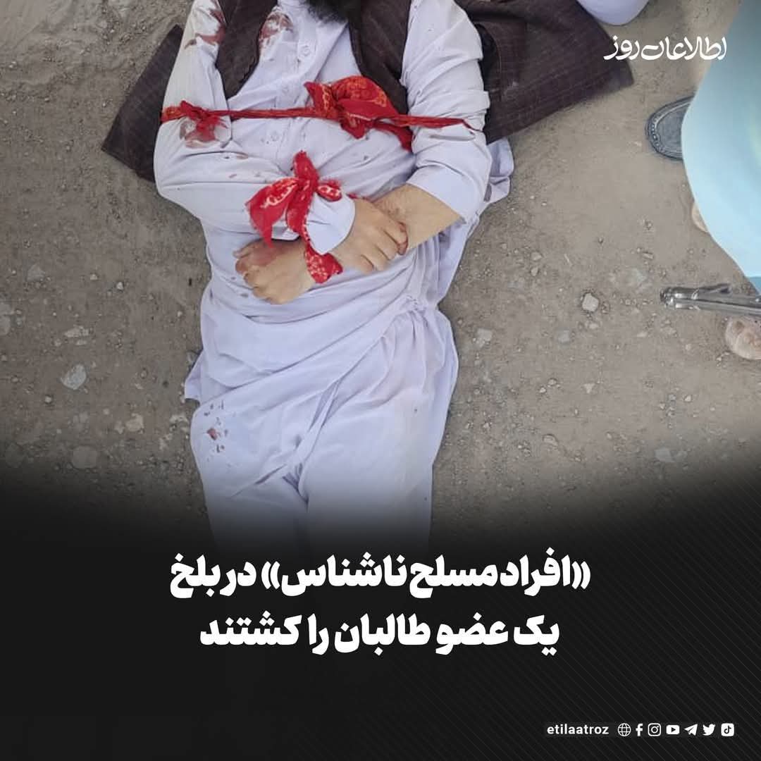 Fawzia sayed zada tweet media