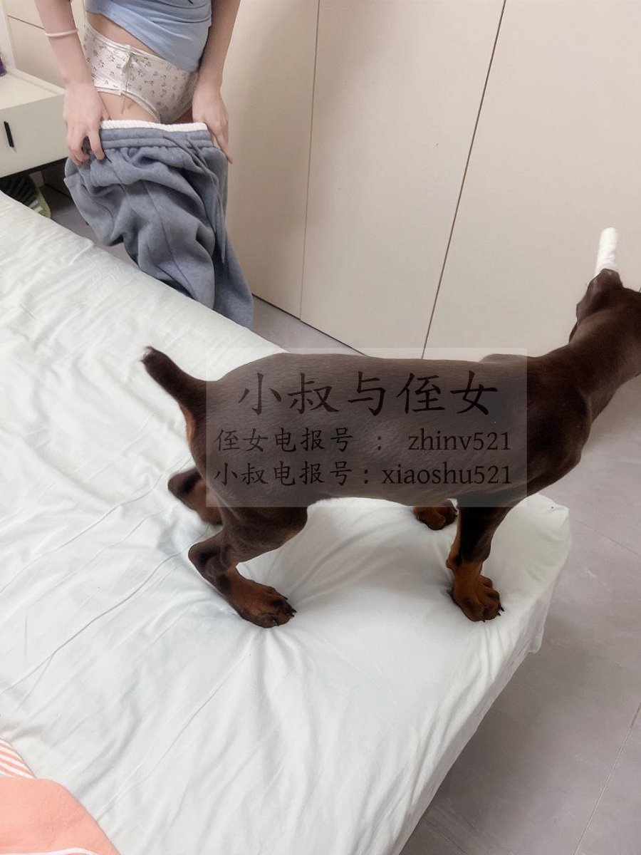 温馨提醒:被狗鸡巴🔒住的话，不要着急，一般20分钟左右就会解，如果超过一个小时，立刻安排自行就医、要不然狗命不保，千万不要讳疾忌医… https://t.co/DfJFht9WmM
